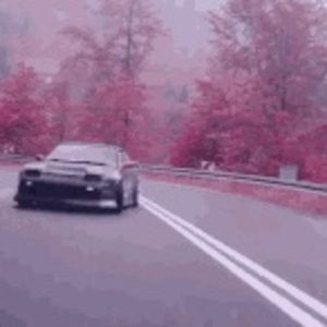 Meet your Posher, Luka